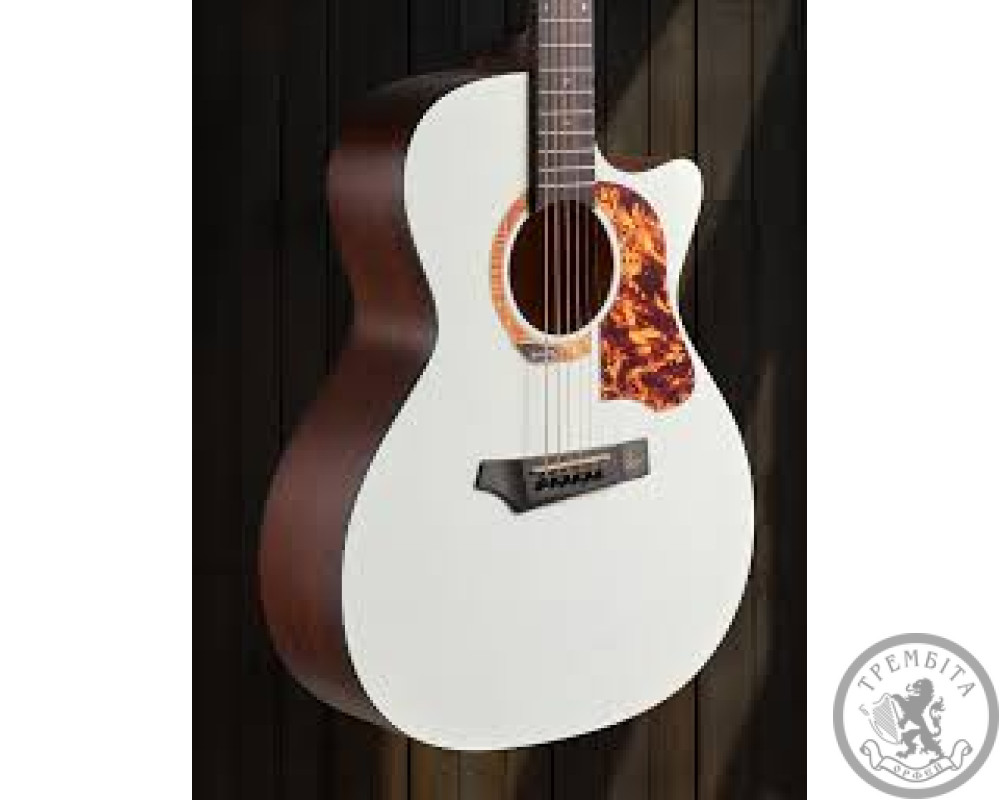Акустична гітара Gopher Wood I 232 RC Pearl Dust з чохлом