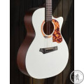 Акустична гітара Gopher Wood I 232 RC Pearl Dust з чохлом
