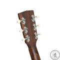 Акустична гітара зі звукознімачем Cort Exotic-GA Walnut Sunburst
