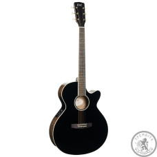Акустична гітара зі звукознімачем Cort Exotic SFX Ash Black Gloss