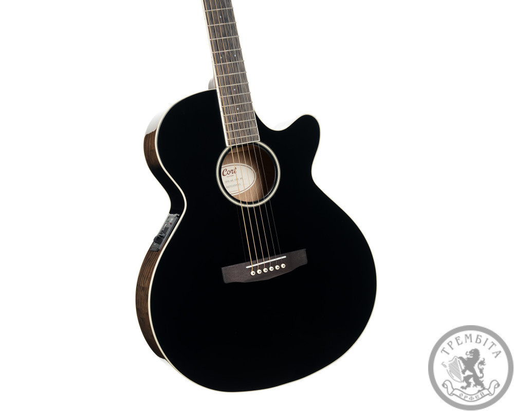Акустична гітара зі звукознімачем Cort Exotic SFX Ash Black Gloss