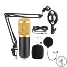 Конденсаторний мікрофон HL AUDIO BM-800 Конденсаторний мікрофон HL AUDIO BM-800