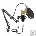 Конденсаторний мікрофон HL AUDIO BM-800