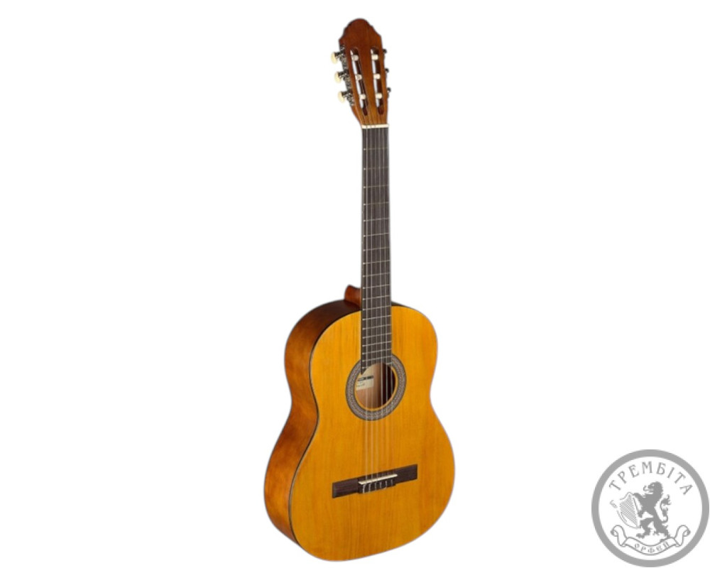 Класична гітара (набір) STAGG C440 M NAT PACK