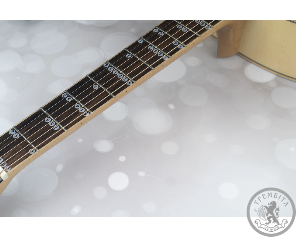 Наклейки для гітари Guitto GFM-01 Fretboard Stickers