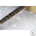 Наклейки для гітари Guitto GFM-01 Fretboard Stickers