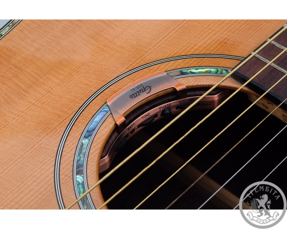 Звукознімач для акустичної гітари Guitto GGP-01