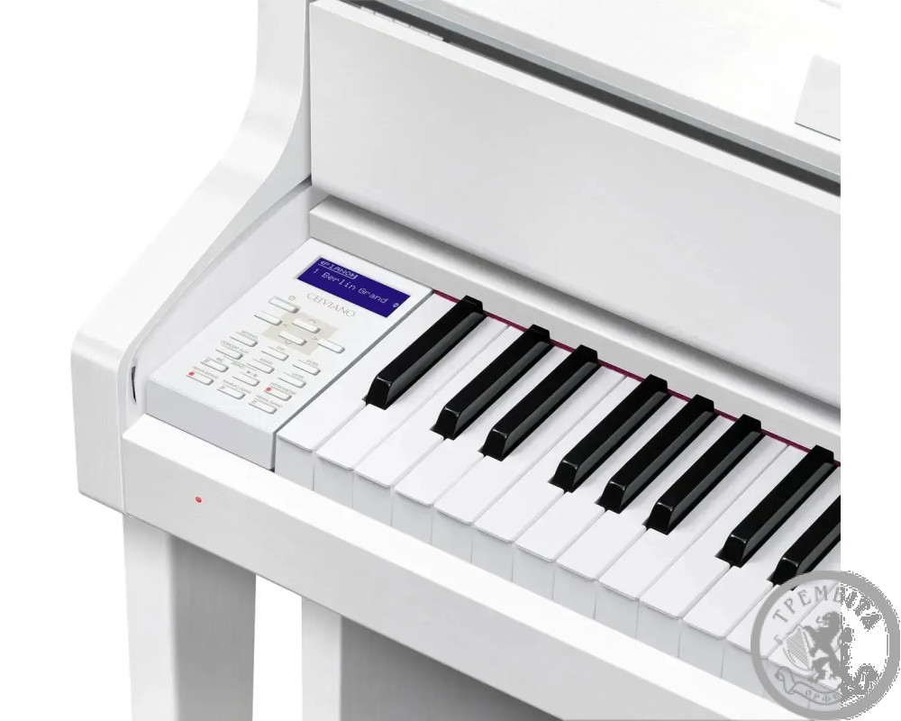 Цифрове фортепіано Casio Celviano Grand Hybrid GP-310WH