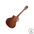 Акустична гітара GOPHER WOOD I 265 RC