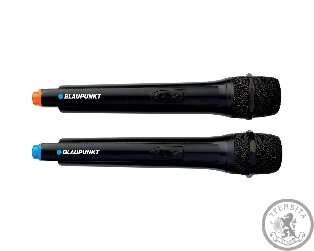 Портативна акустична система Blaupunkt PB08DB Party Box