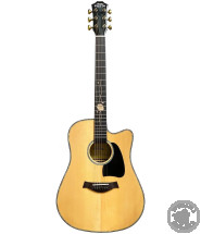 Акустична гітара Fiesta SPACE