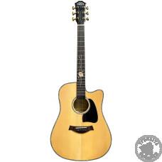 Акустична гітара Fiesta SPACE