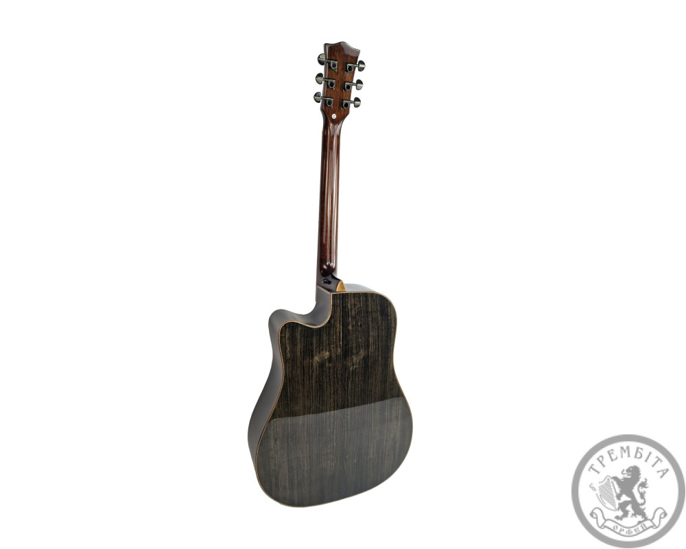 Акустична гітара Toneberg T360-C