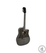 Акустична гітара Toneberg T360-M