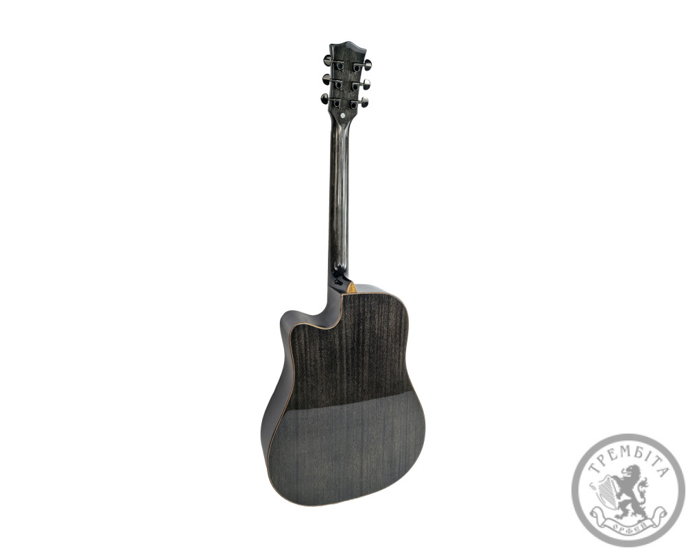 Акустична гітара Toneberg T360-M