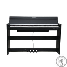 Цифрове піаніно Toneberg TDP-110 BK