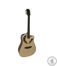 Акустична гітара Toneberg TQ-P