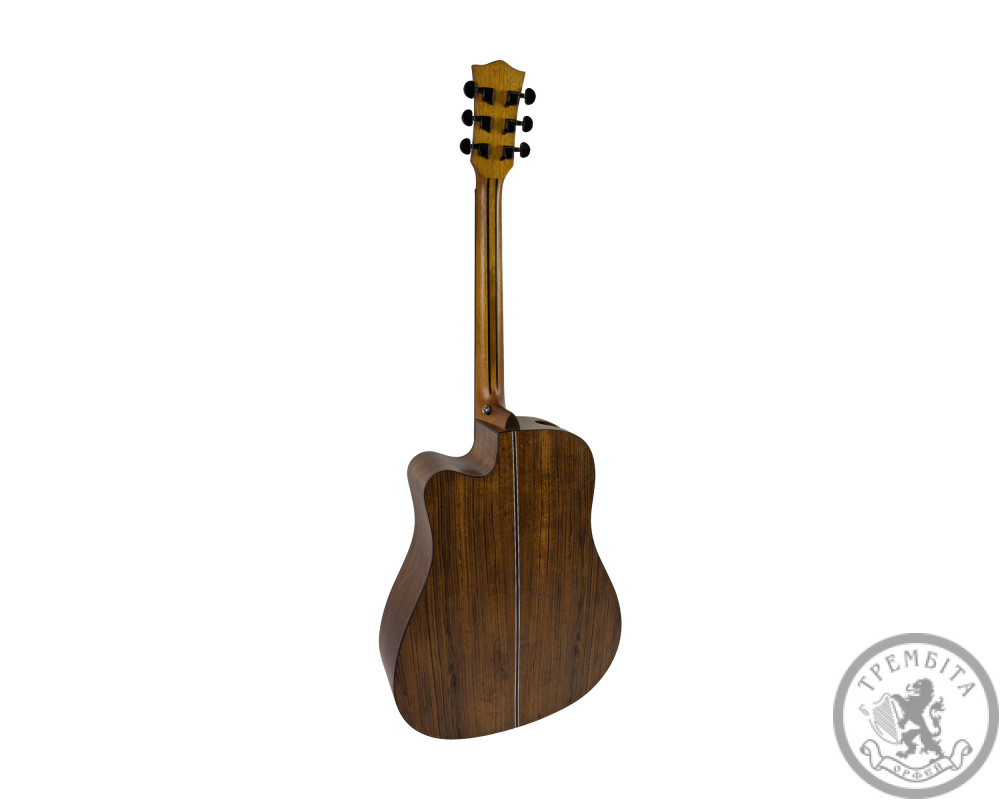 Акустична гітара Toneberg TQ-P