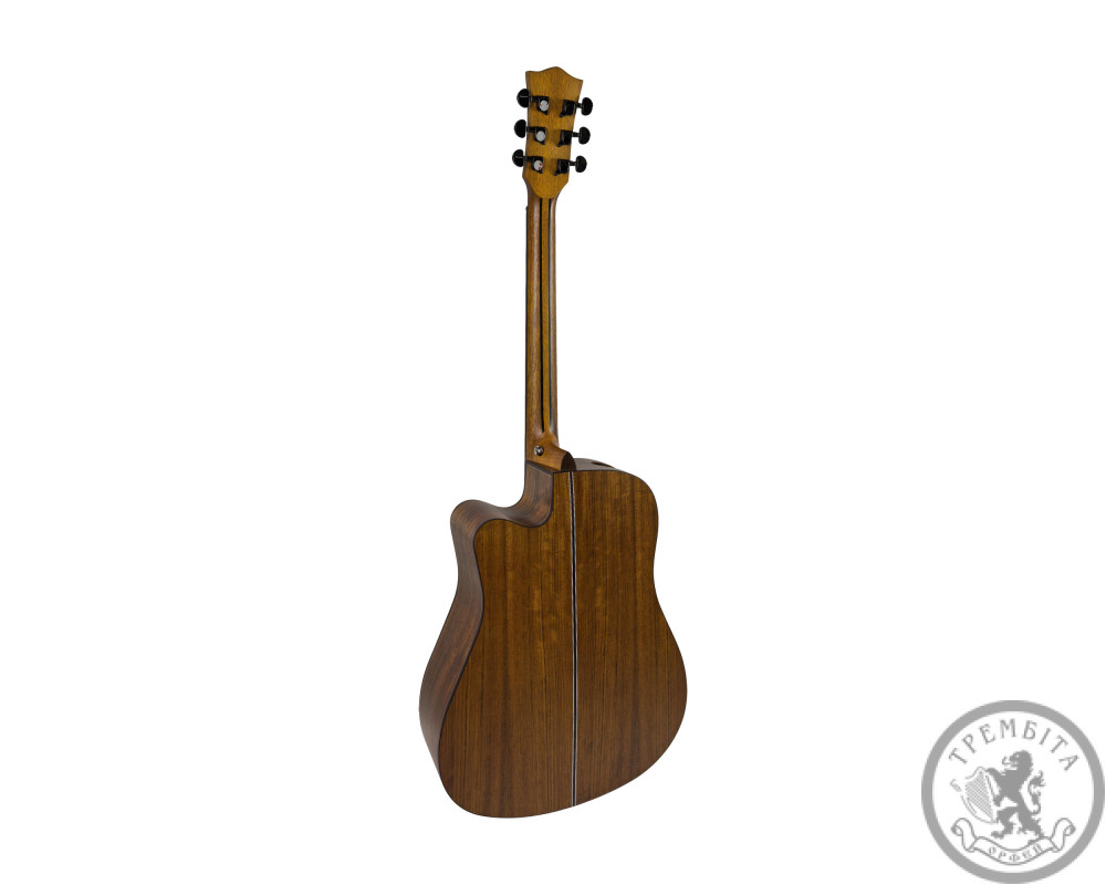 Акустична гітара Toneberg TQ-PS