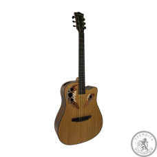 Акустична гітара Toneberg TQ-PS