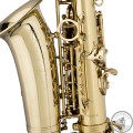 Саксофон альт STAGG P WS-AS215S