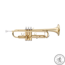 Труба STAGG P WS-TR115