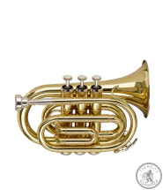 Кишенькова труба STAGG P WS-TR245S