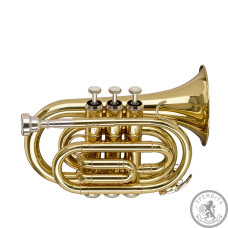 Кишенькова труба STAGG P WS-TR245S