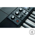 Синтезатор Casio CT-S500C7