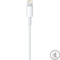 Дата-кабель Apple Lightning to USB 2.0 (1м) (MD818ZM/A)