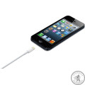 Дата-кабель Apple Lightning to USB 2.0 (1м) (MD818ZM/A)