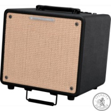 Комбопідсилювач IBANEZ T10 Комбопідсилювач IBANEZ T10