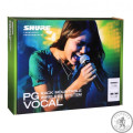 Shure BLX24REPG58 система беспроводная вокальная с микрофоном PG58