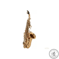 Саксофон Roy Benson SG-302