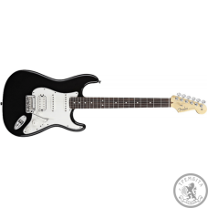 Электрогитара FENDER STANDARD STRATOCASTER RW BK Электрогитара FENDER STANDARD STRATOCASTER RW BK
