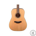 Гітара TAKAMINE GD20-NS