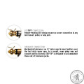 Інструментальний кабель PLANET WAVES PW-AMSG-20 AMERICAN STAGE 20ft