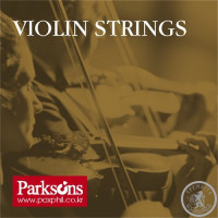 Струни для скрипки 4/4 Parksons Violin